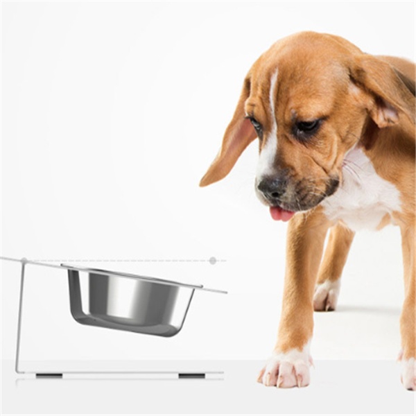 Anti-falling Cat Dog Feeding Water Bowl - Imagen 9
